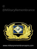 Fyffes Lines Elders & Fyffes Ltd Shipping Company Lapel Pin