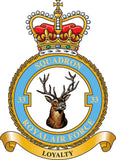 33 Sqn Royal Air Force RAF Remembrance Flower Lapel Pin